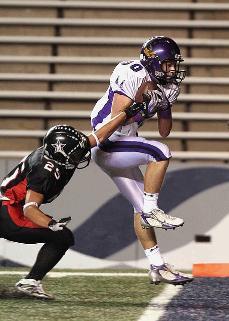 的完美结合 的完美结合