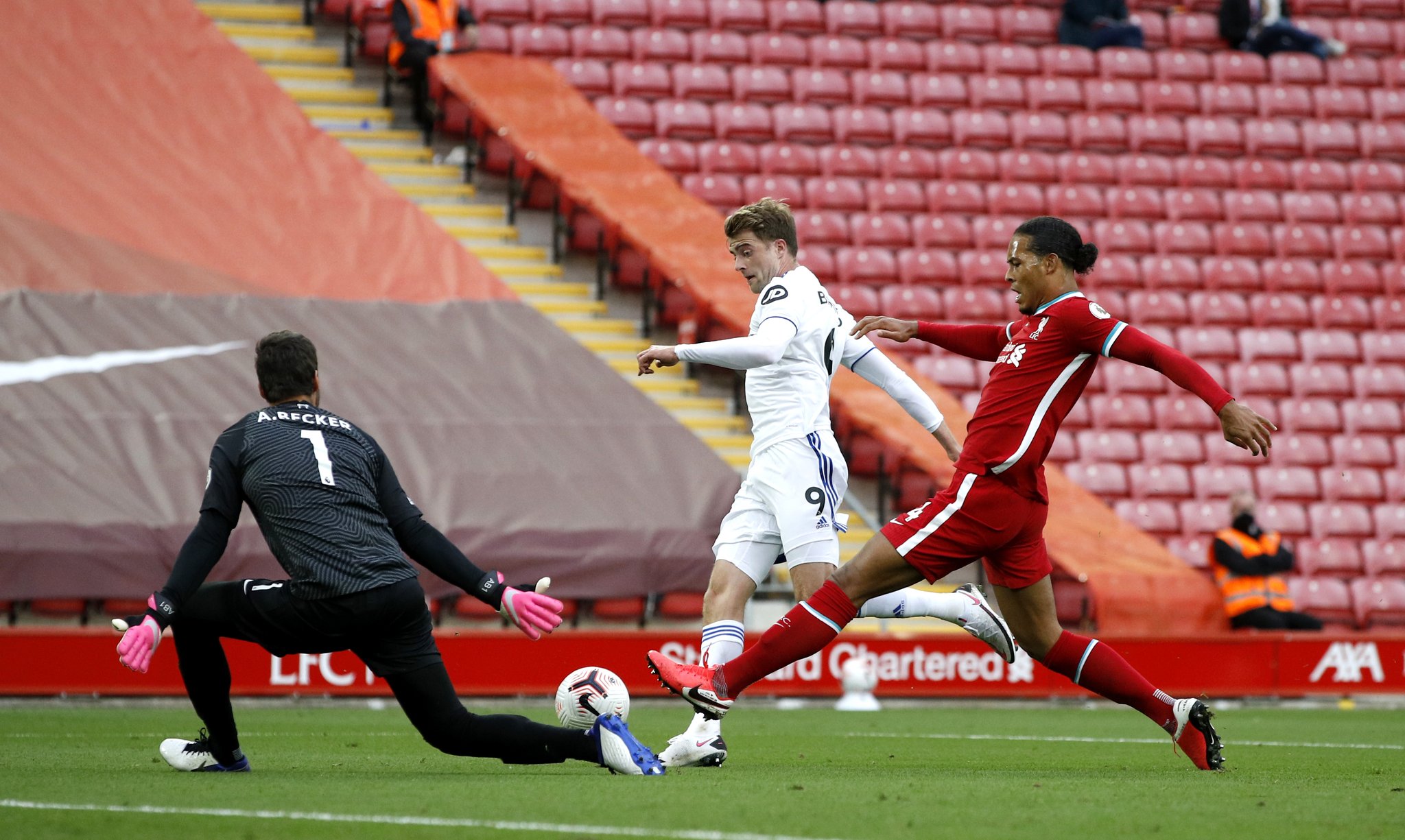 作者提供了 作者提供了